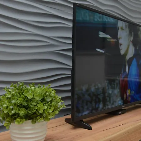 Appartement Martenovic 2 *